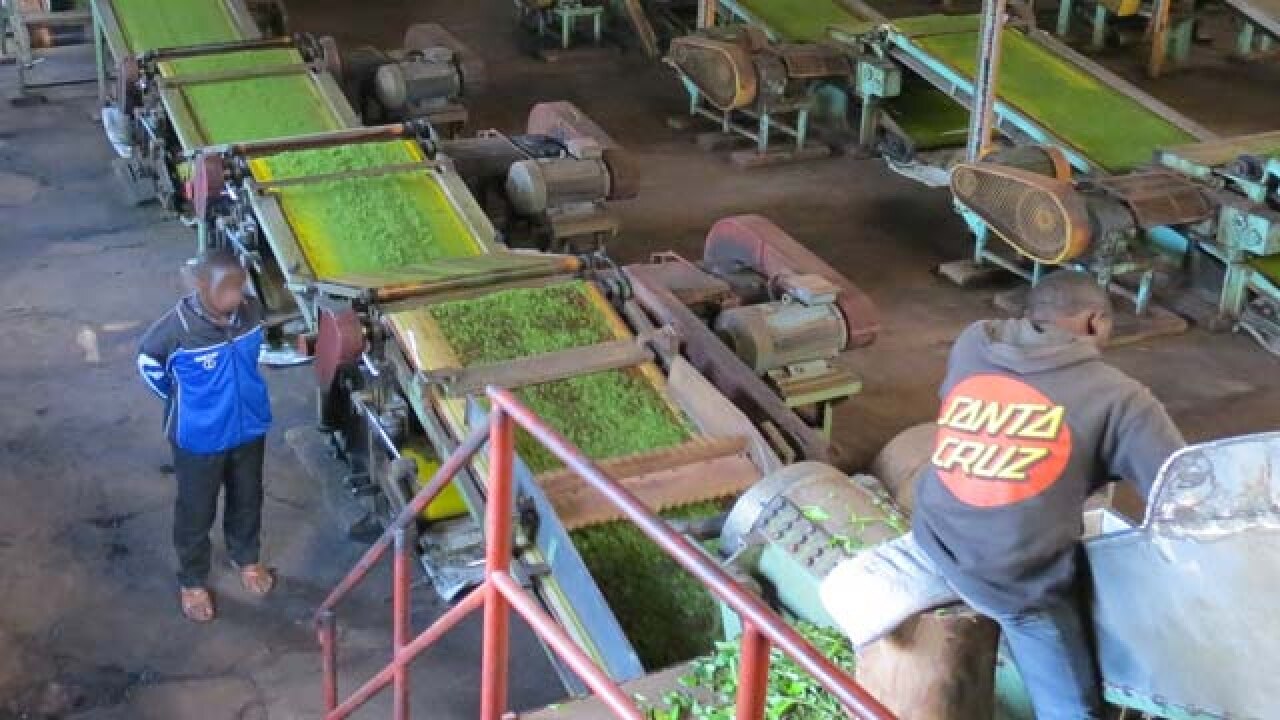 Inspect tea processing units FSSAI to state officials