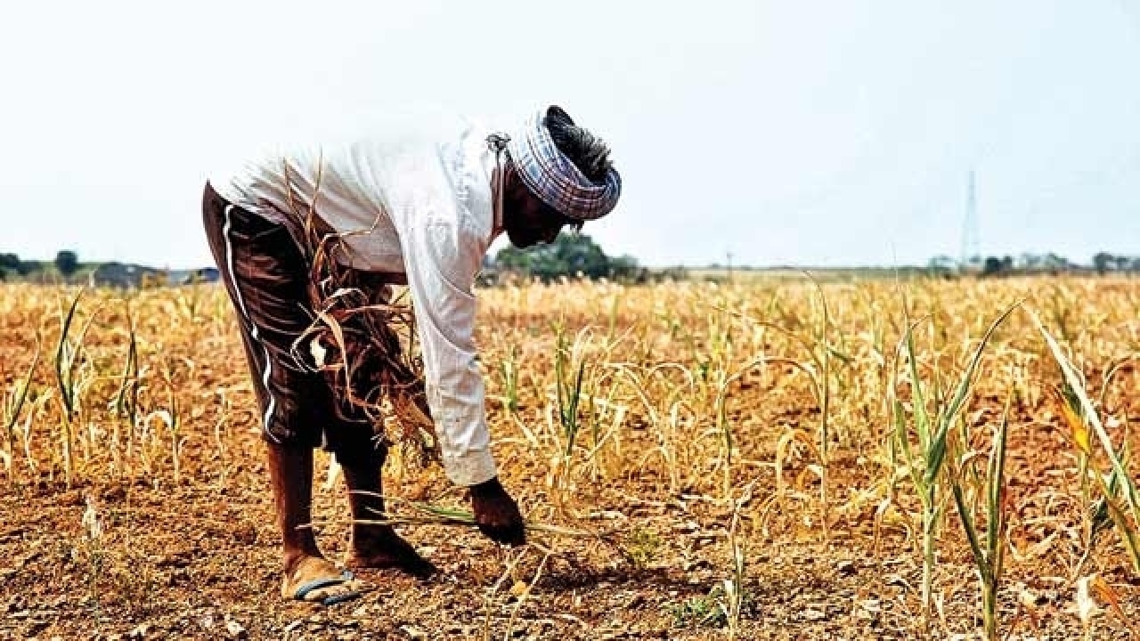 Tamil Nadu: Jaya's Crop Loan Waiver Small Relief For Stressed Farmers