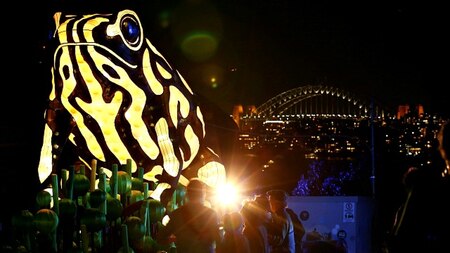 Giant lantern in the shape of an endangered Corroboree frog