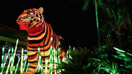 Sumatran Tiger light sculpture