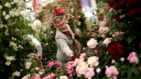Public enjoying the Chelsea Flower Show