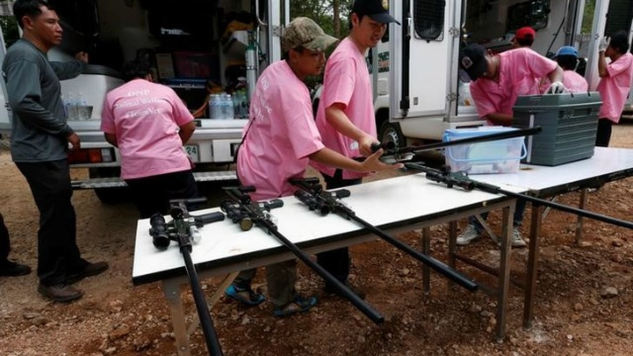 Weapons being prepared for sedation