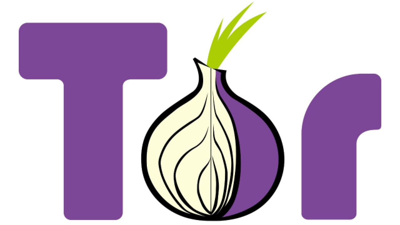 search engine tor network
