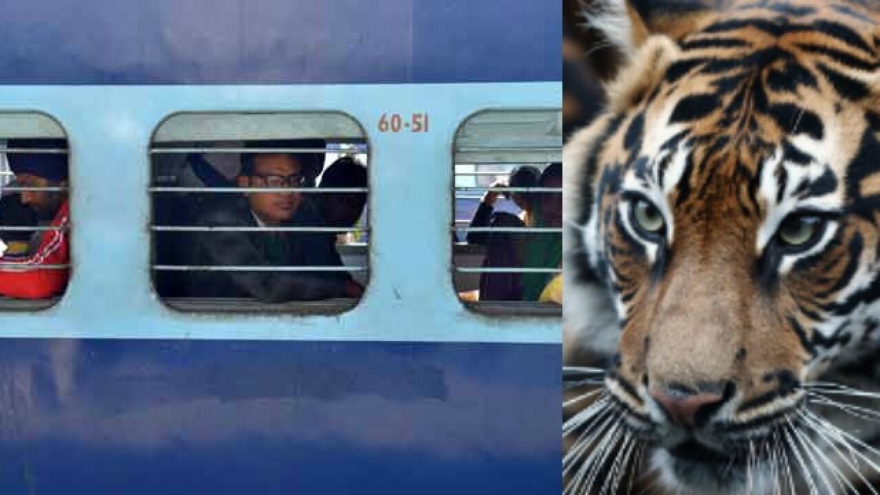 Railways flag off Tiger Express, a tourist train to spread awareness ...