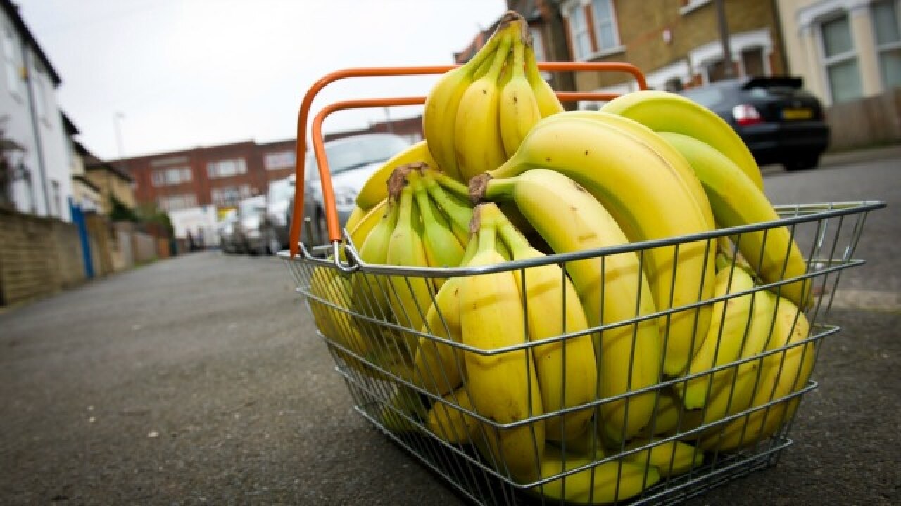 Basket full of bananas