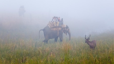 Jim Corbett National Park, Uttarakhand