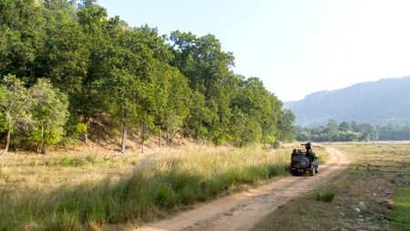 Bandhavgarh National Park, Madhya Pradesh