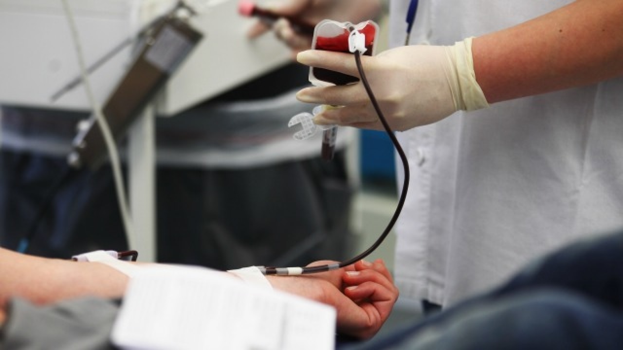 World Blood Donor Day Steps to keep in mind before 