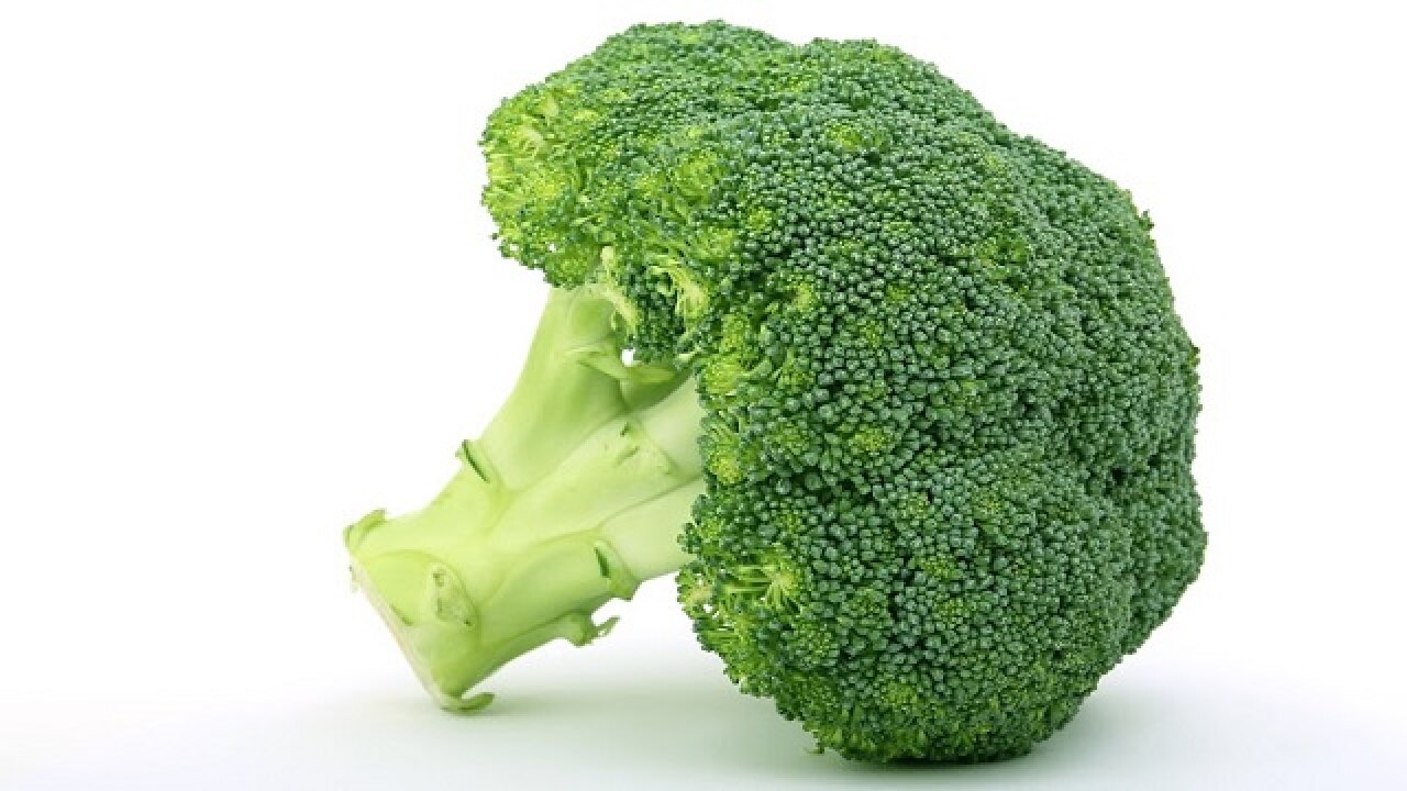 Broccoli sprout extract may protect against oral cancer recurrence