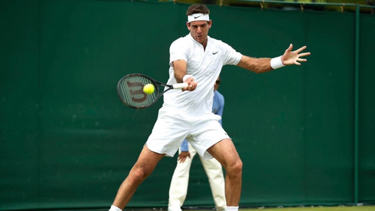 Wimbledon: Juan Martin Del Potro comes back swinging!