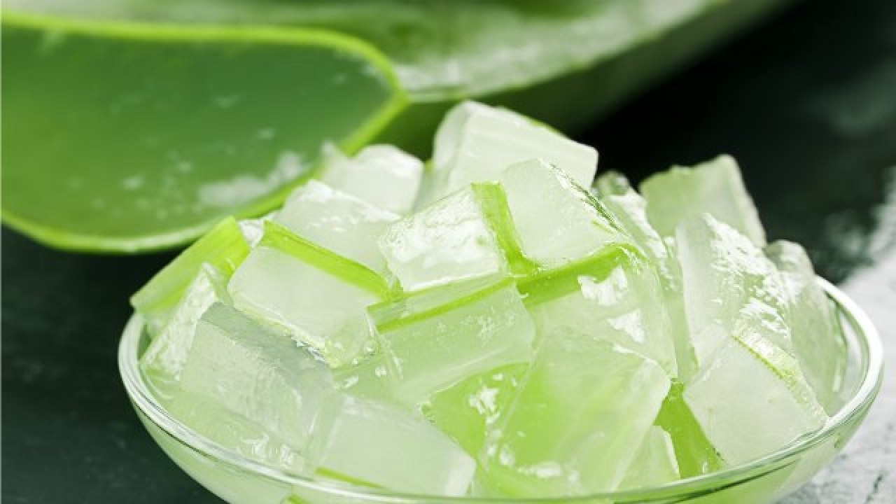 Image result for aloe vera and sugar zee