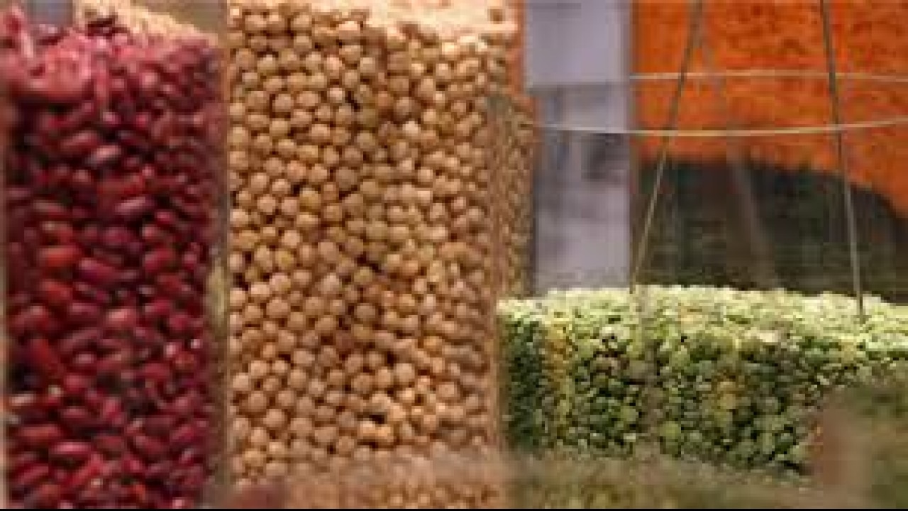Retail inflation rises to 5. 77% in june; increase in pulses, vegetable prices to blame