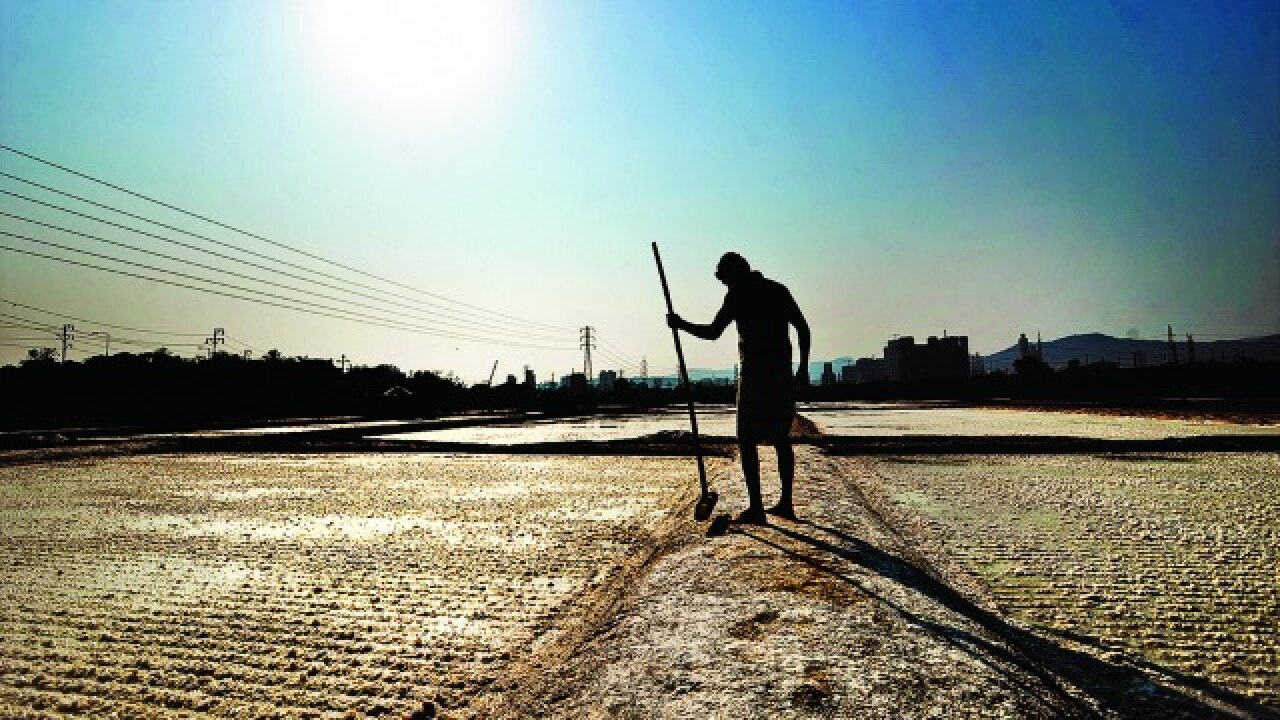 Salt pans near Bhandup