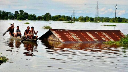 Flood waters near Kaziranga National Park