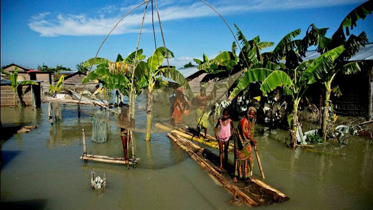 Raft to the rescue