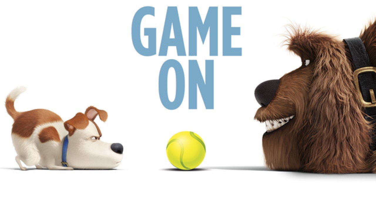 'The Secret Life of Pets' sequel gets a release date