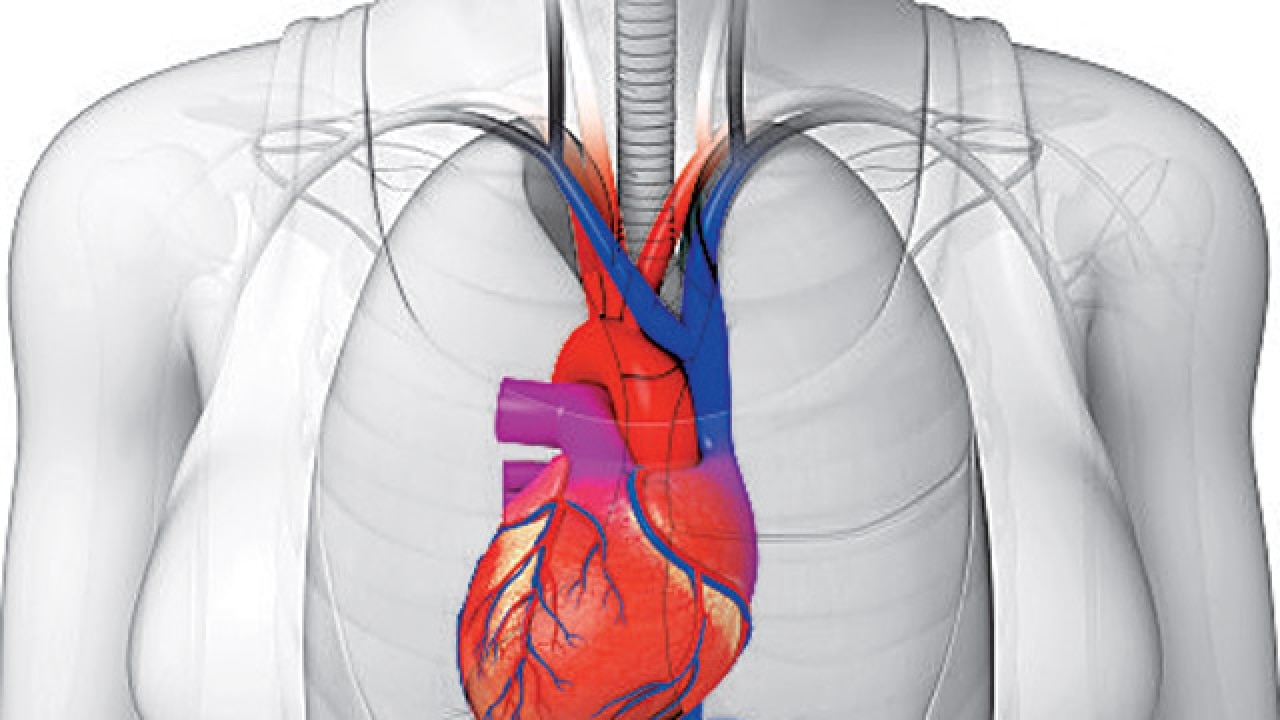 In Rarest Of Rare Cases Doctors Operate On Man With Heart On The Right