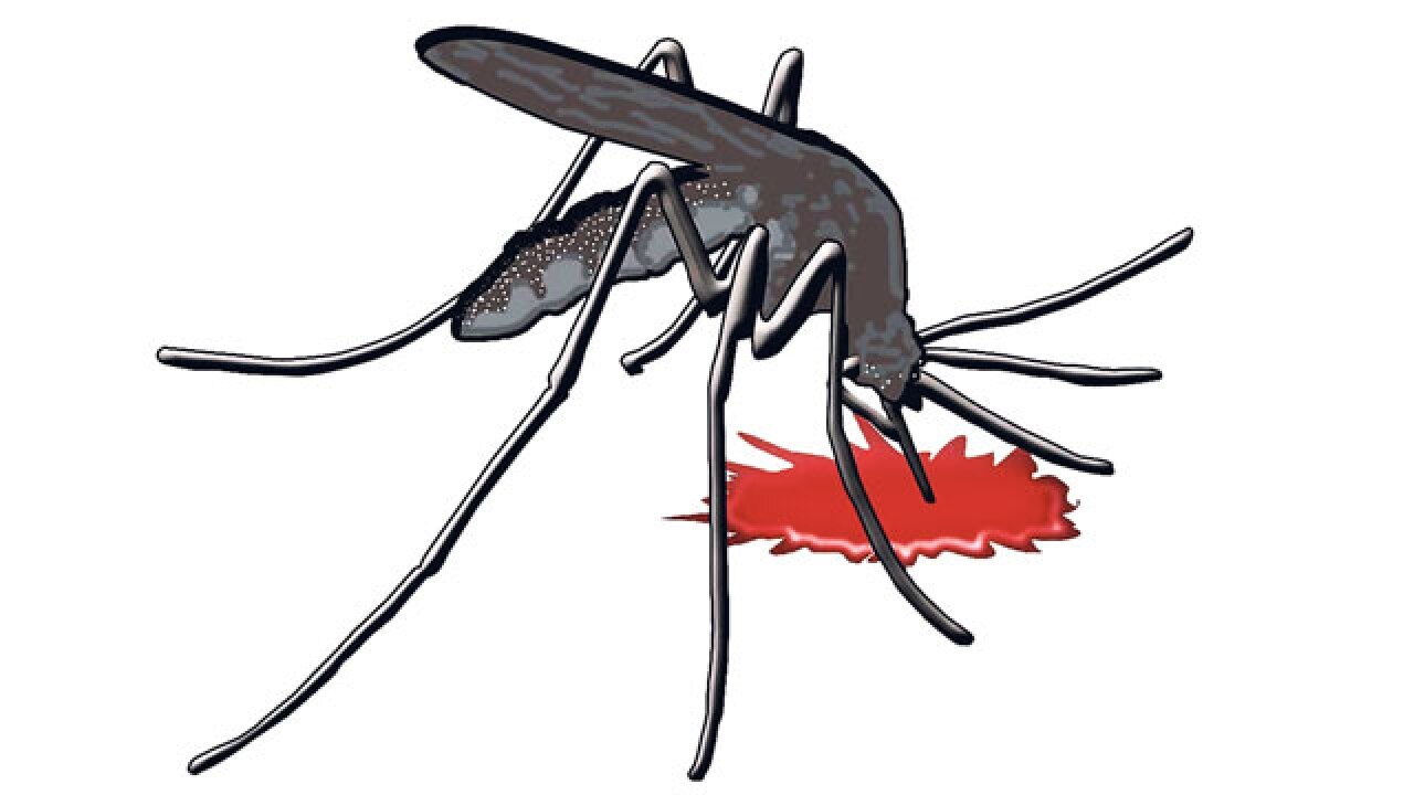 Delhi Has Little Immunity For Chikungunya Reason Scientists