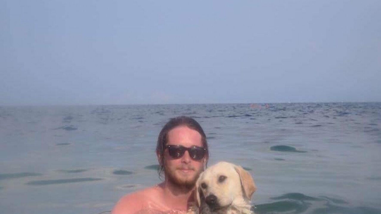 Australian man raises thousands of dollars to bring back stray dog from ...
