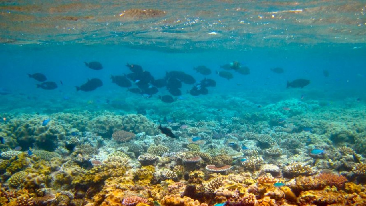 NASA begins study on Great Barrier Reef