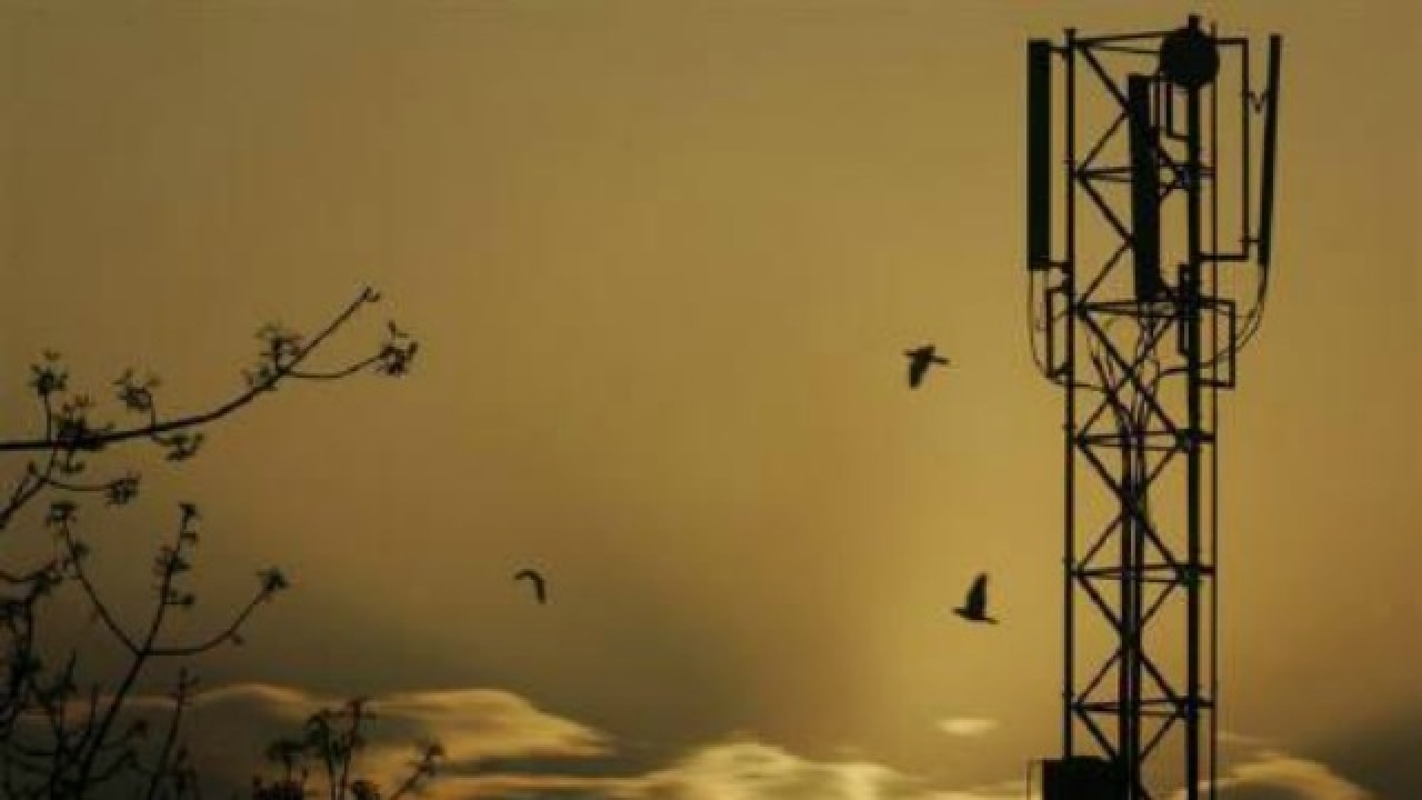 What would rcom - aircel merger mean for telecom sector?