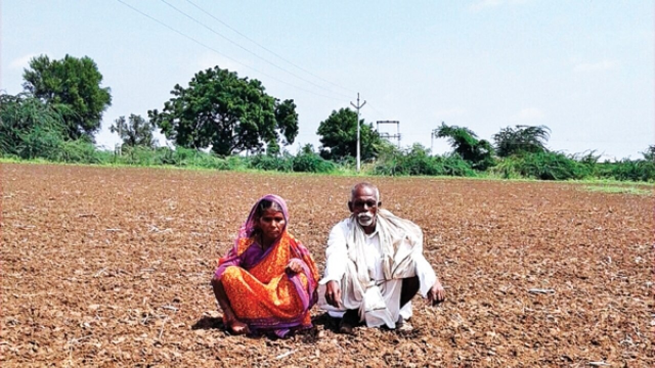 Cauvery row In Karnataka's sugar bowl, debtridden farmers fear more