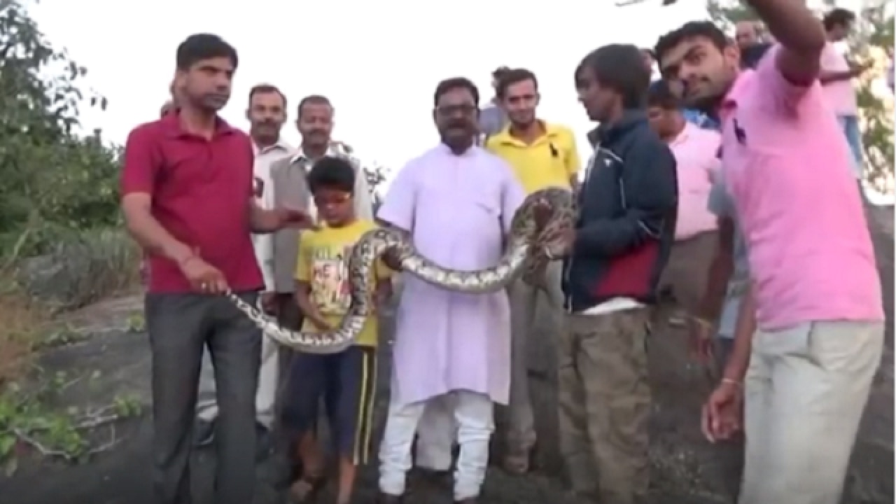 Watch: Python attacks man trying to click selfie with him