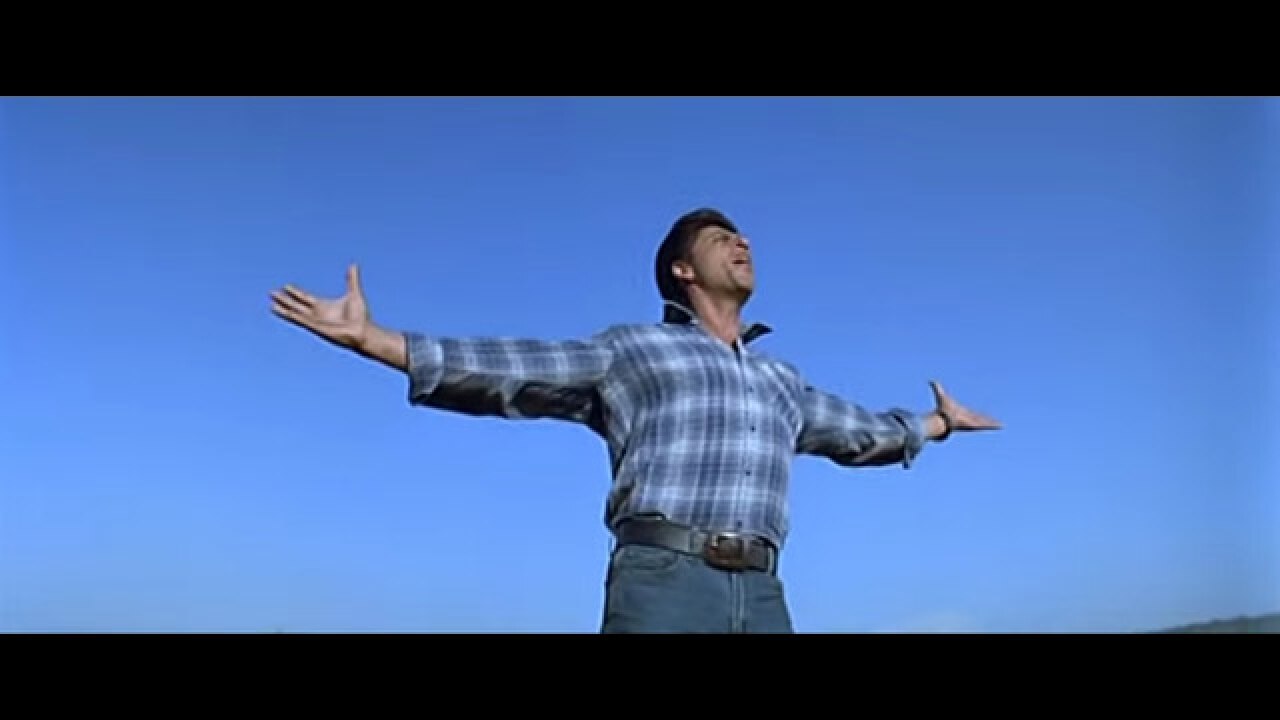 Swades