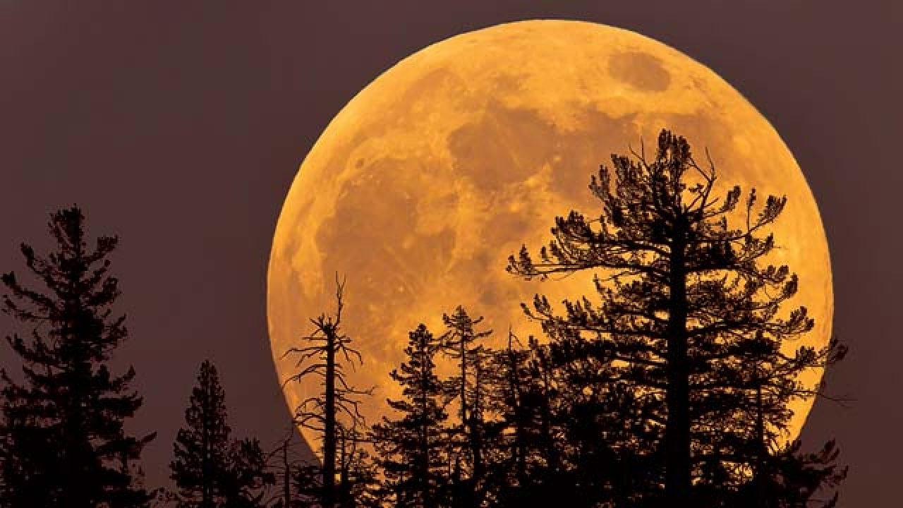 Supermoon How ancient civilisations imagined, feared and worshipped
