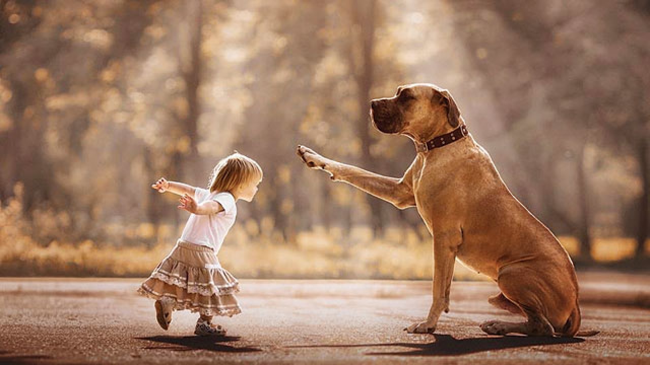 Photographer captures the wonder of kids and their big, happy dogs