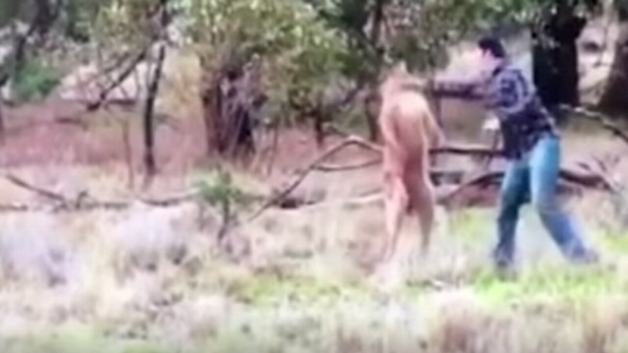 Man punches a kangaroo to save his pet dog