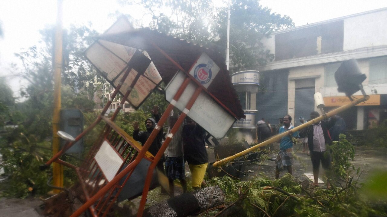 Uprooted poles and trees in Chennai