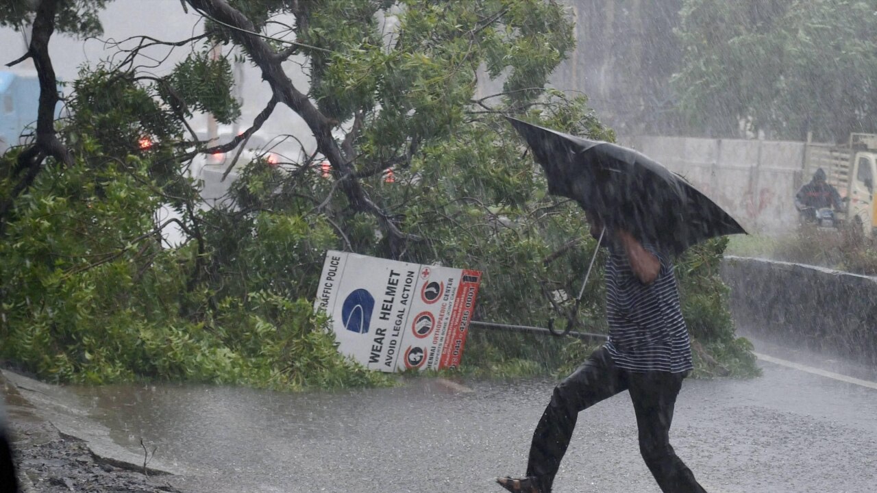 A man runs for safety as an uprooted tree blocks the road