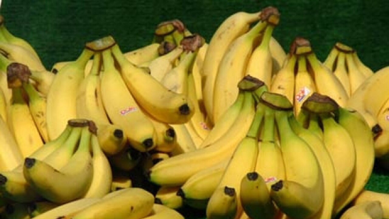 Interactive map shows India is best at bananas! Find out what it