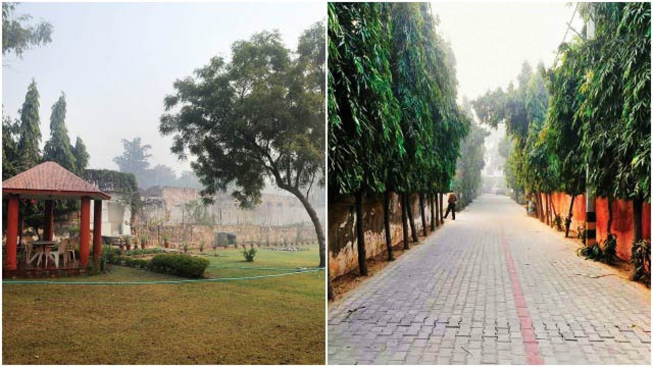 One man’s vision is changing the landscape of Sainik Farm