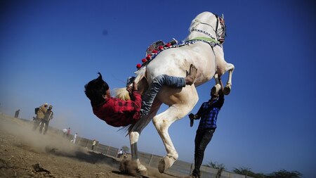 Akshay Kumar's stunt companion from 'Singh is Kinng'
