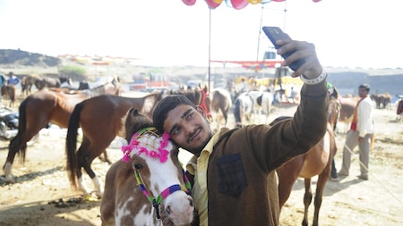 How about an equine selfie? Say, cheese!