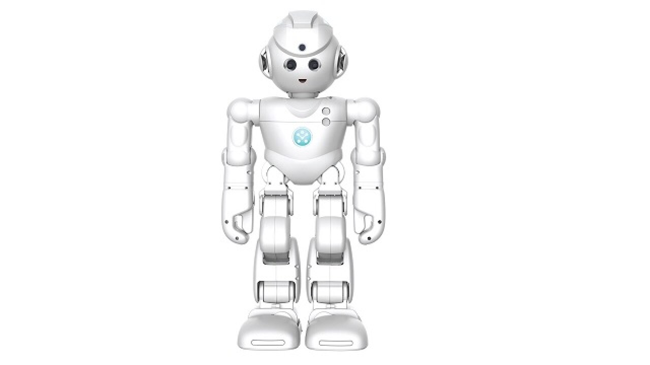 Companion robots vie to be the latest addition to homes
