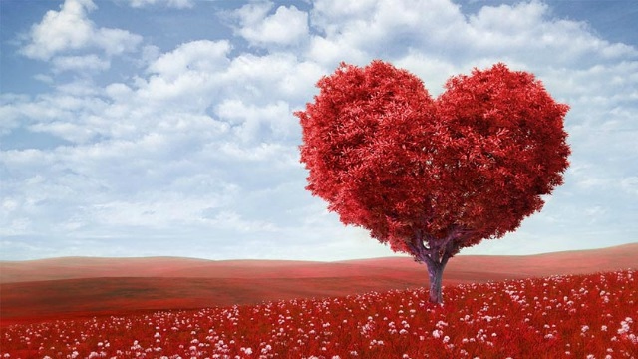 Valentine's Day 2017: Whatsapp and Facebook messages to win your lover's  heart this D-day