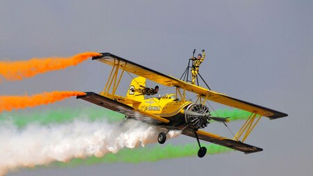 Skycat Wingwalkers