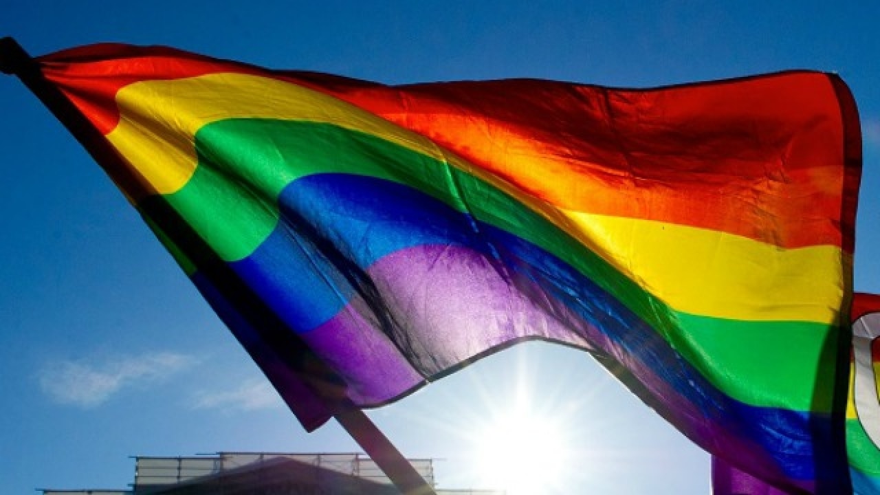 Same-sex marriage legalisation may cut teen suicide rates in US