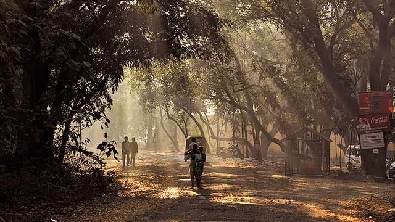 #saveaarey: bollywood and tv celebrities voice support for the cause