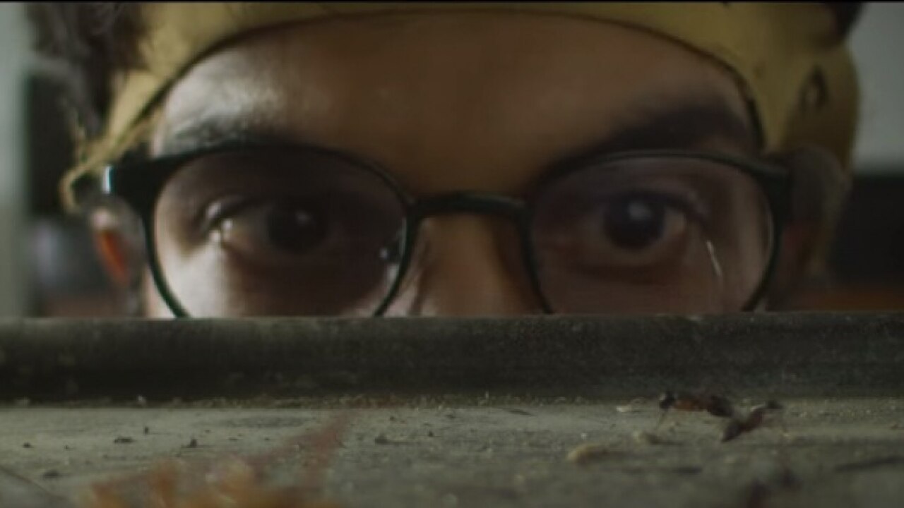 Watch video: The trailer of Rajkummar Rao's 'Trapped' is gripping