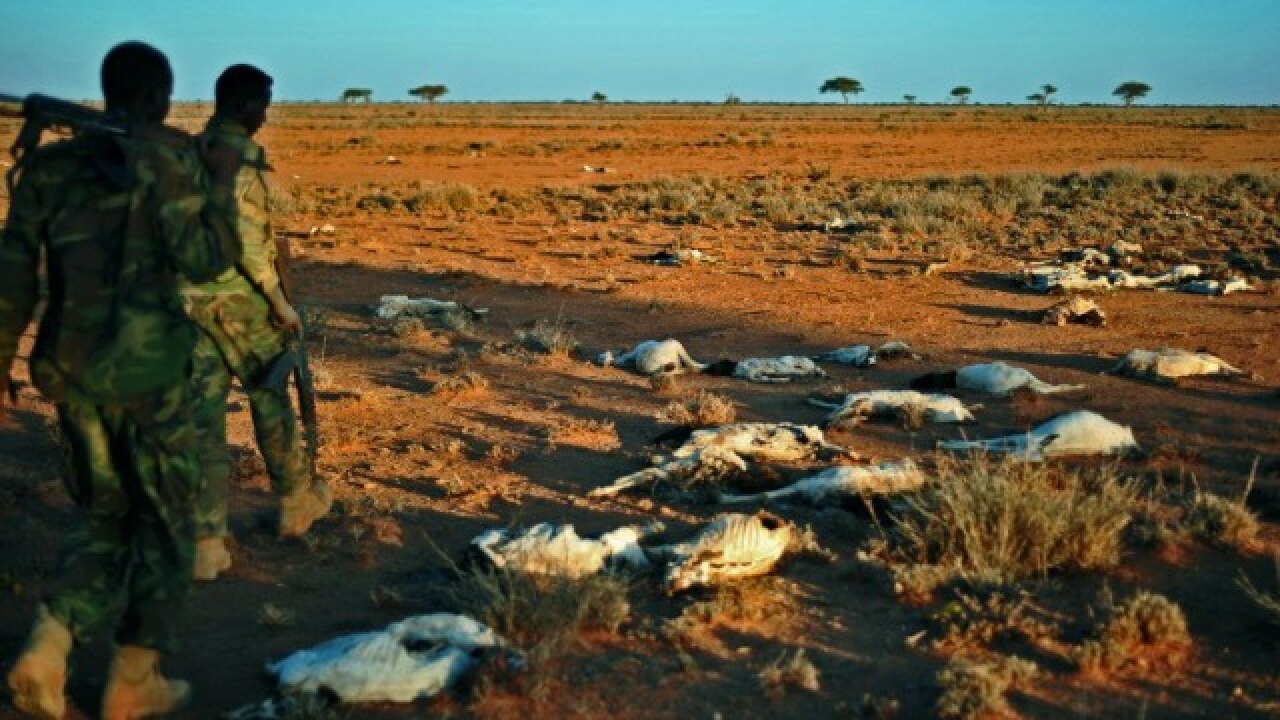 110 Have Starved To Death In Drought Stricken Somalia In Past Two Days