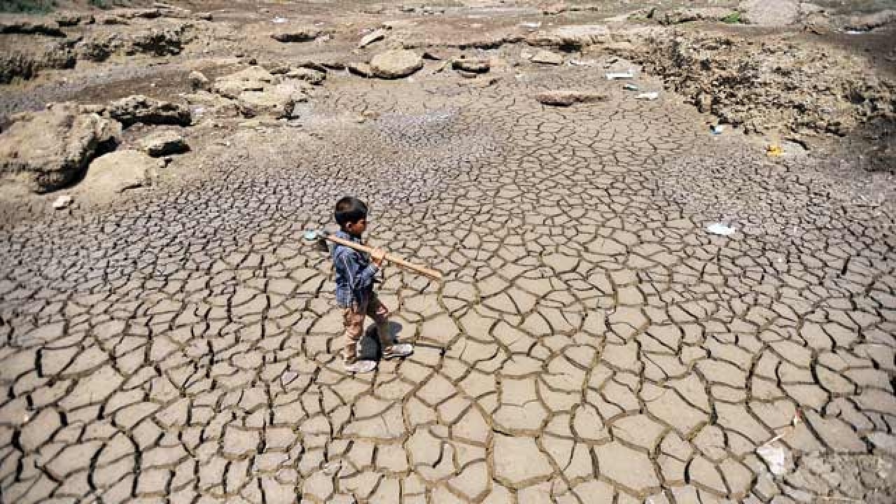 tamil-nadu-declares-drought-as-144-farmers-die-amid-worst-north-east