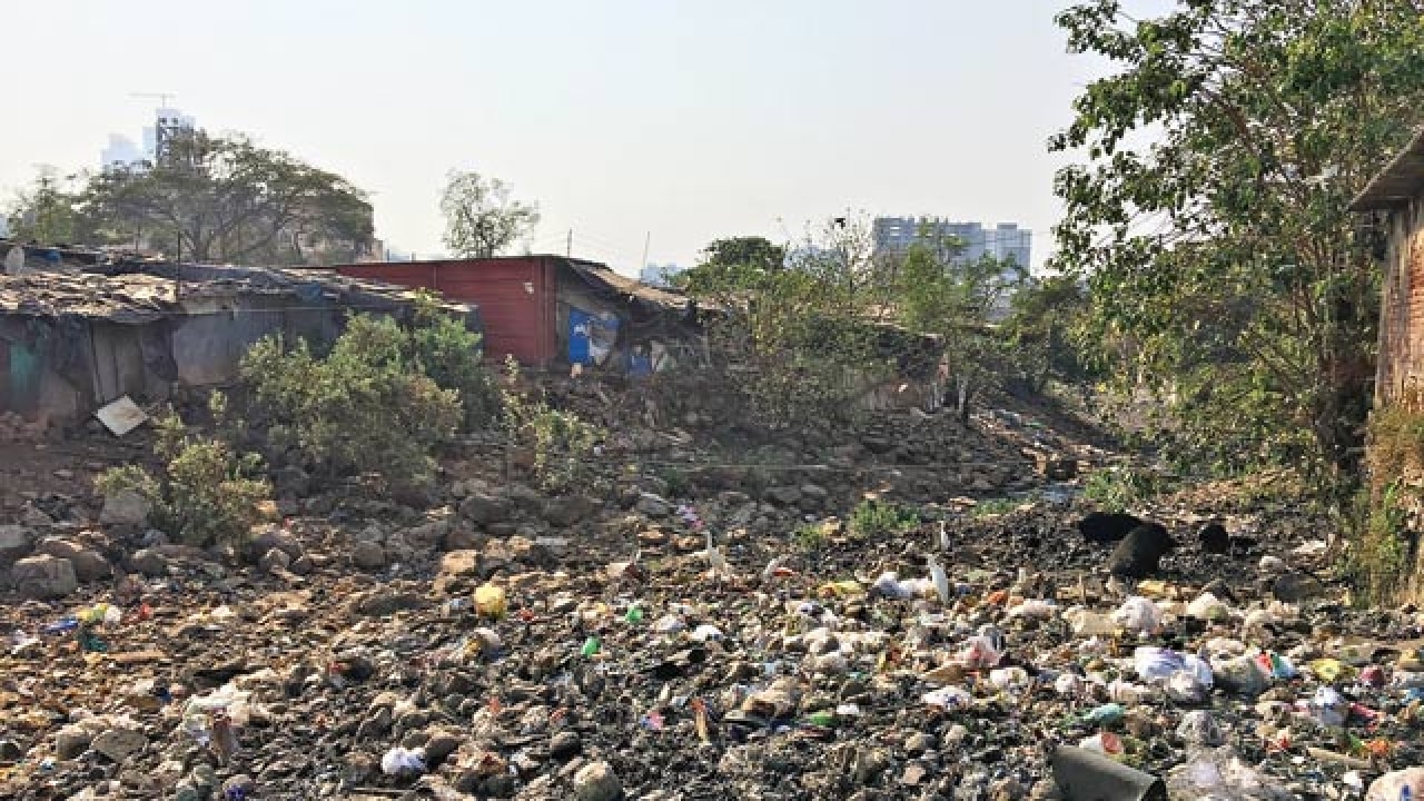 River March team set for deep dive into garbage to save Poisar river