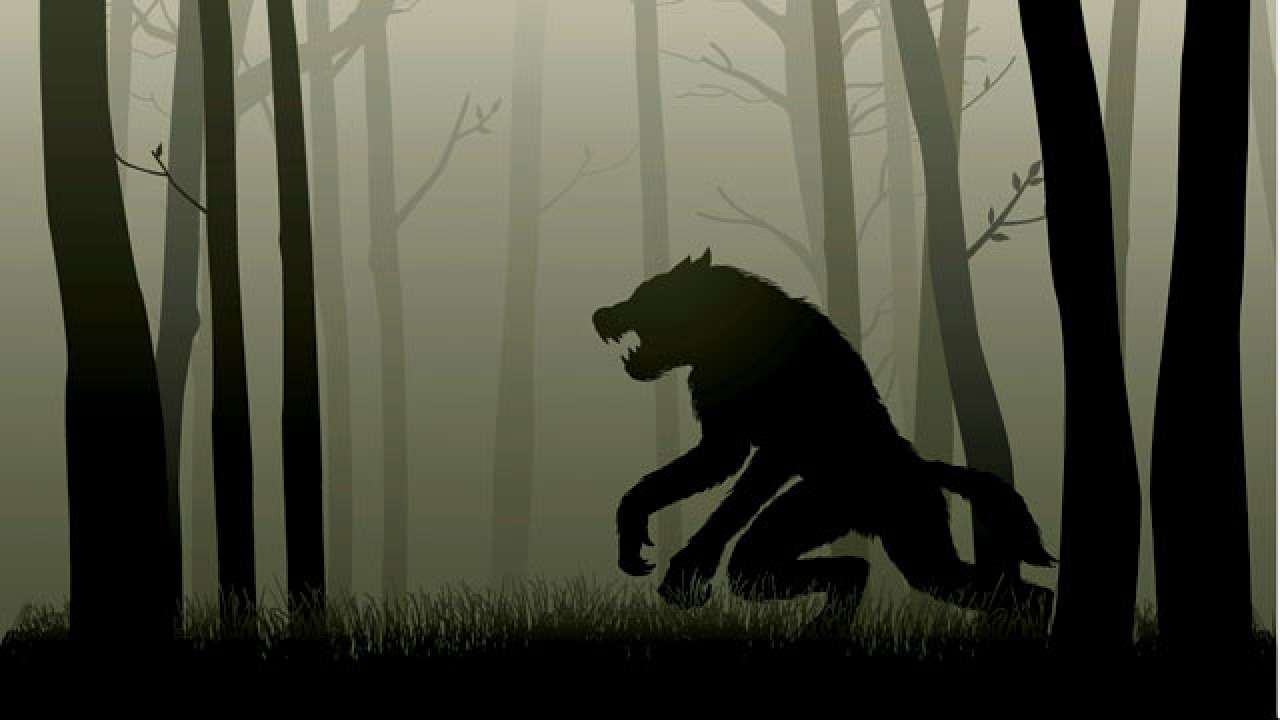 561830-werewolf.jpg