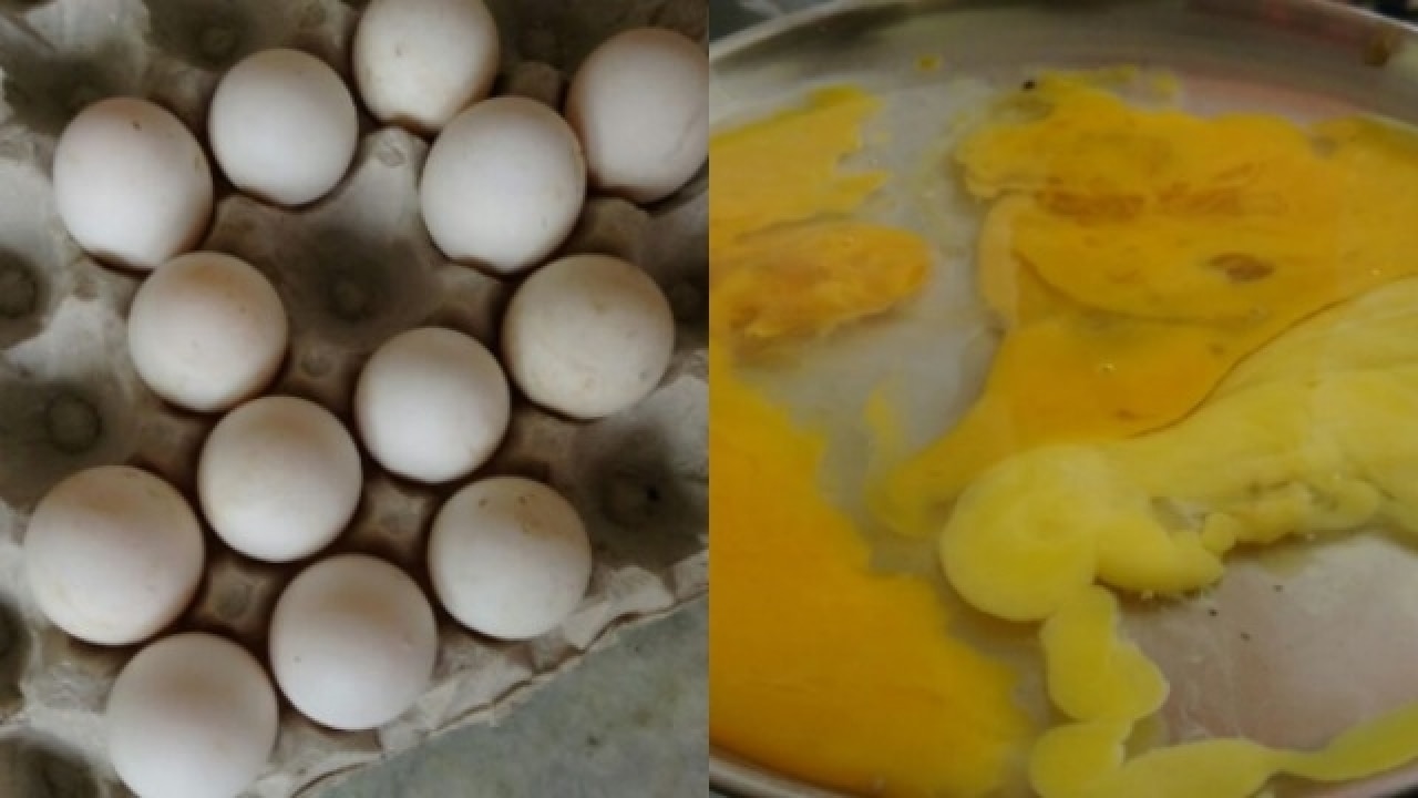 'Fake eggs' seized in Kolkata get clean chit in initial report by KMC