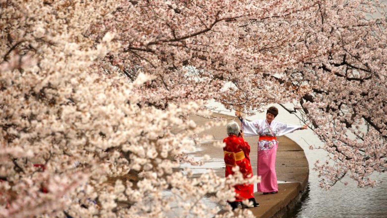 Tidal Basin, Washington