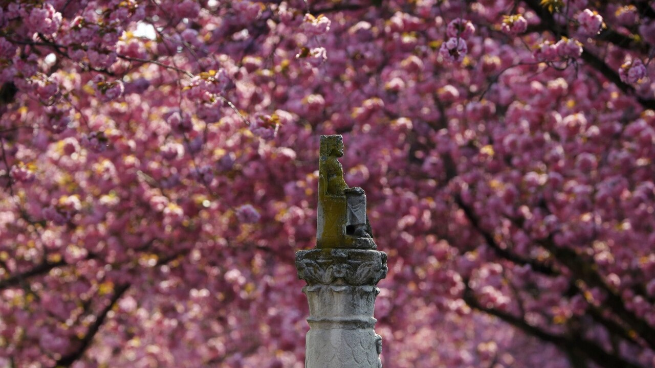 Bonn, Germany